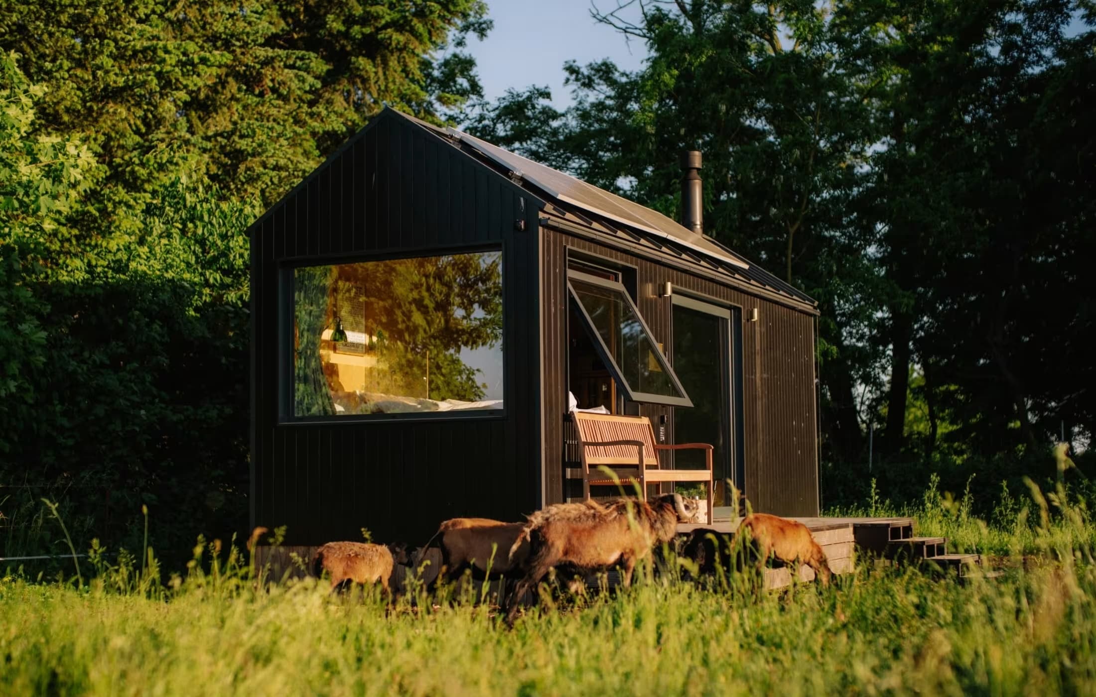 Cabin Clive