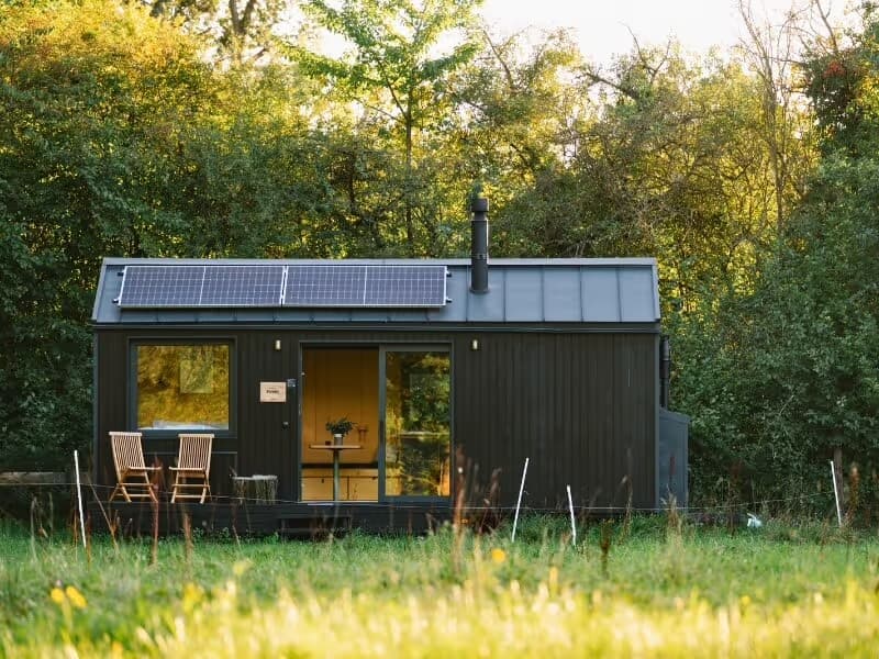 Cabin Punnu
