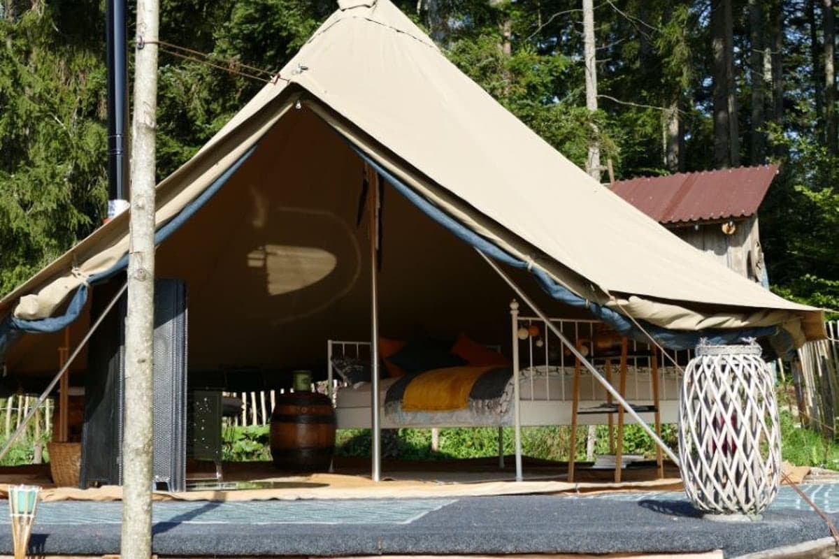 Campingzelt im Tannenwald