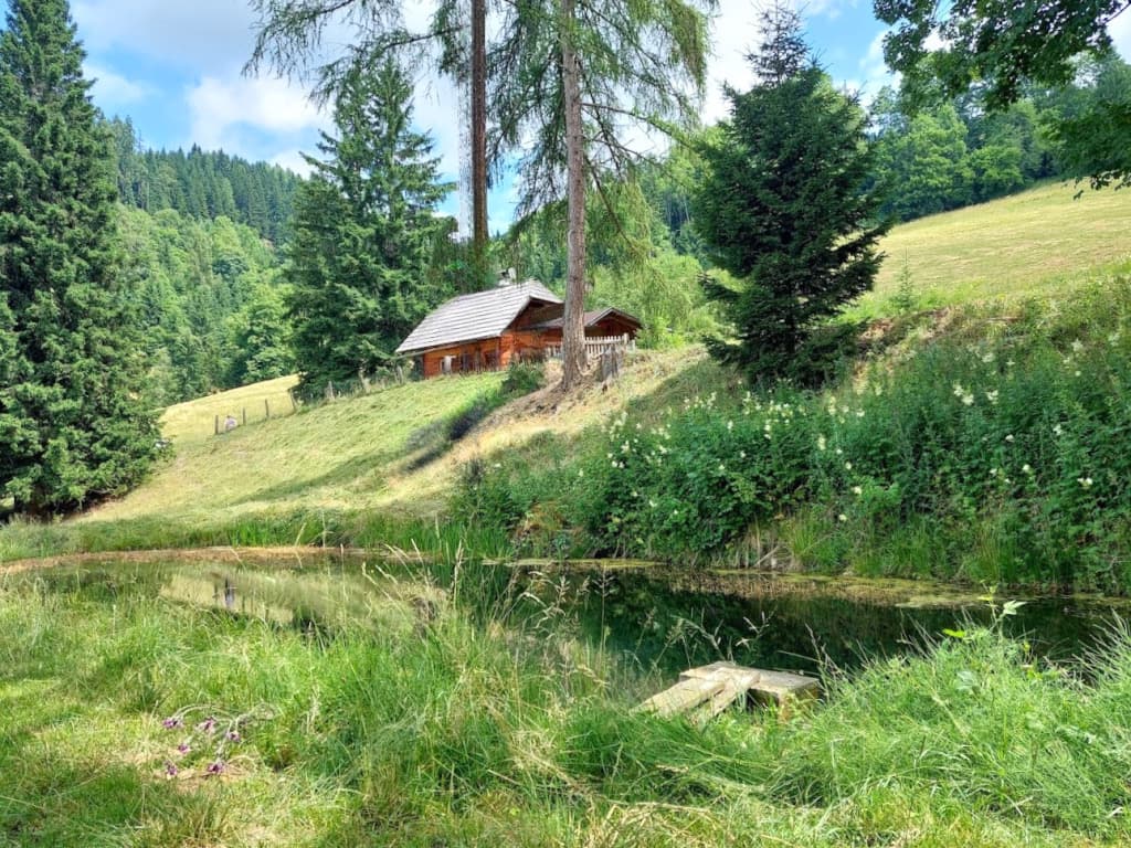 Fischerhütte Murtal