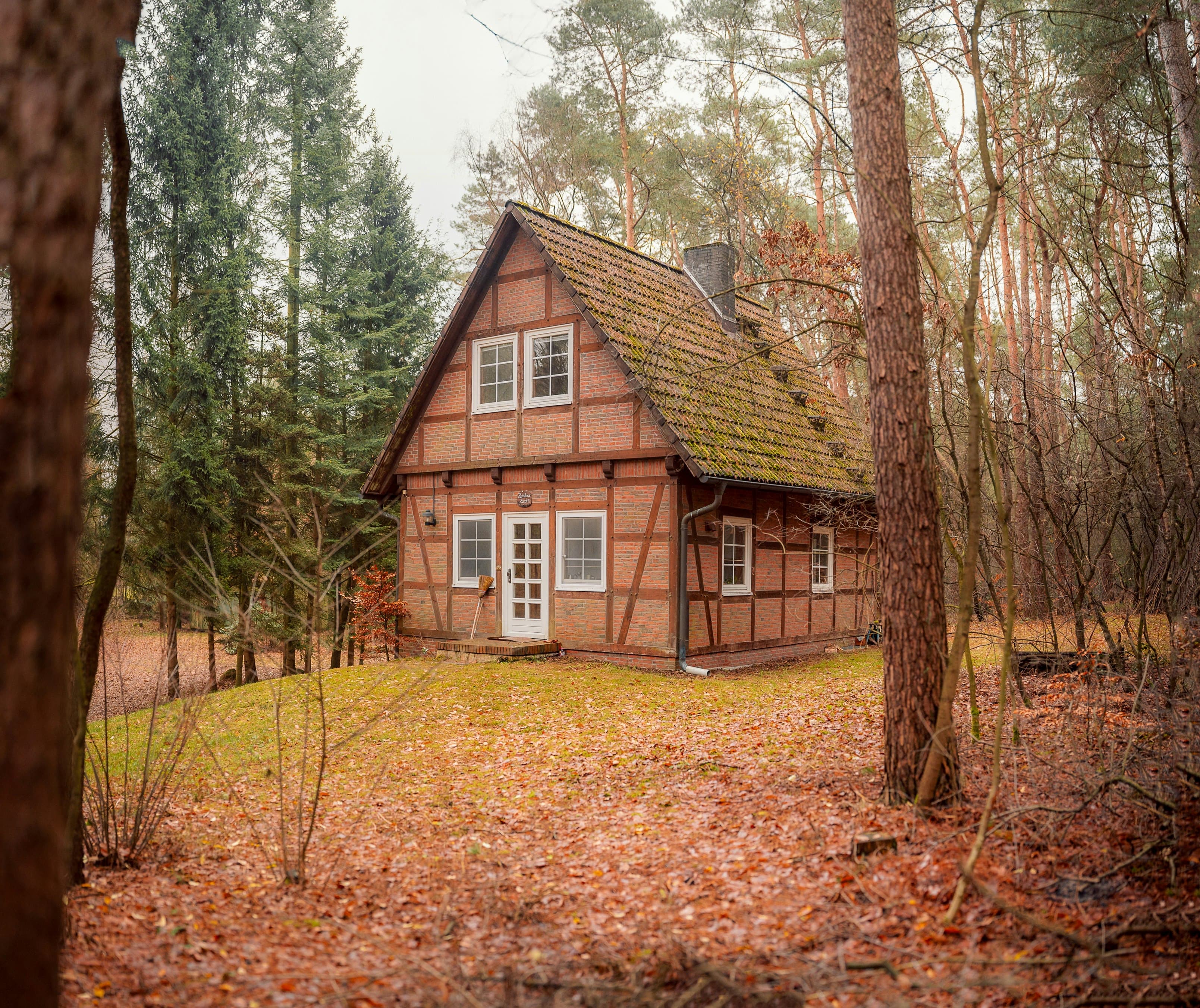 Gemütliches Fachwerkhaus mitten im Wald