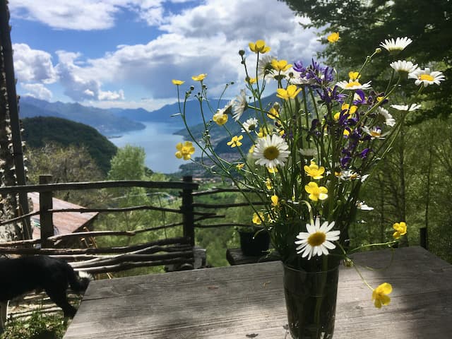 Berghütte mit Weitblick, Comer See - Villa Lupinia, Comer See