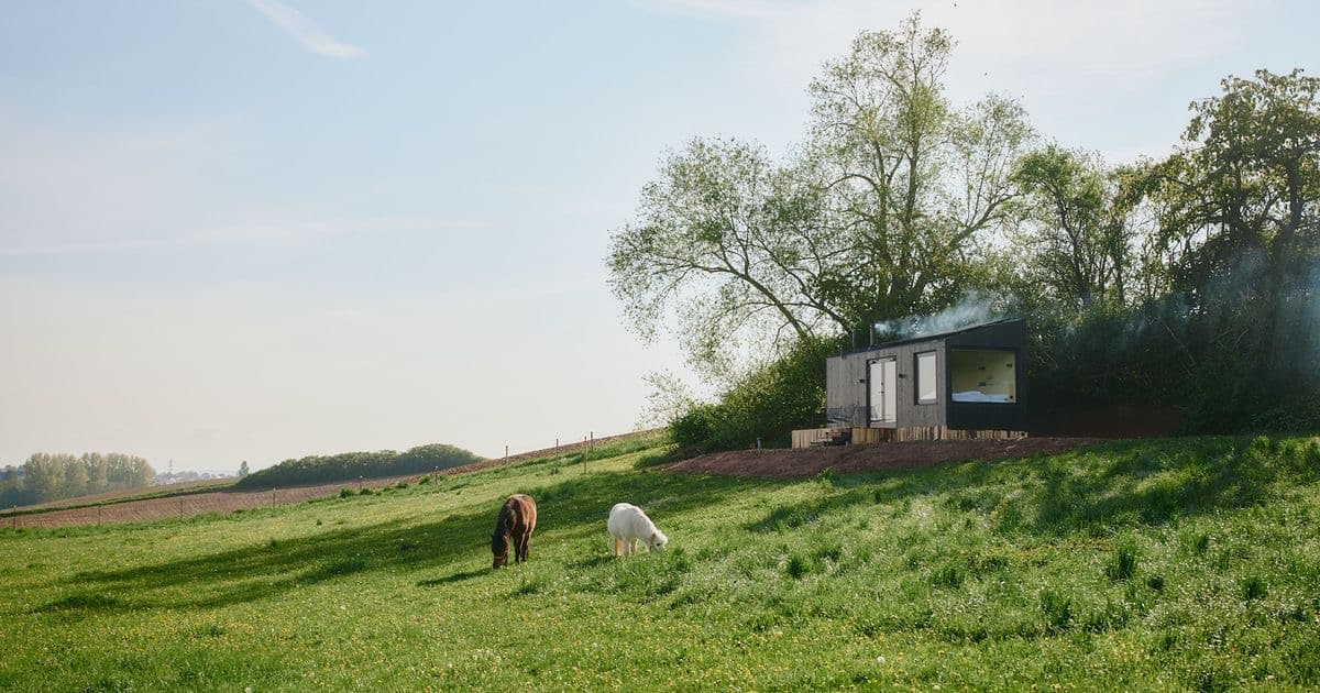 Gemüsehof