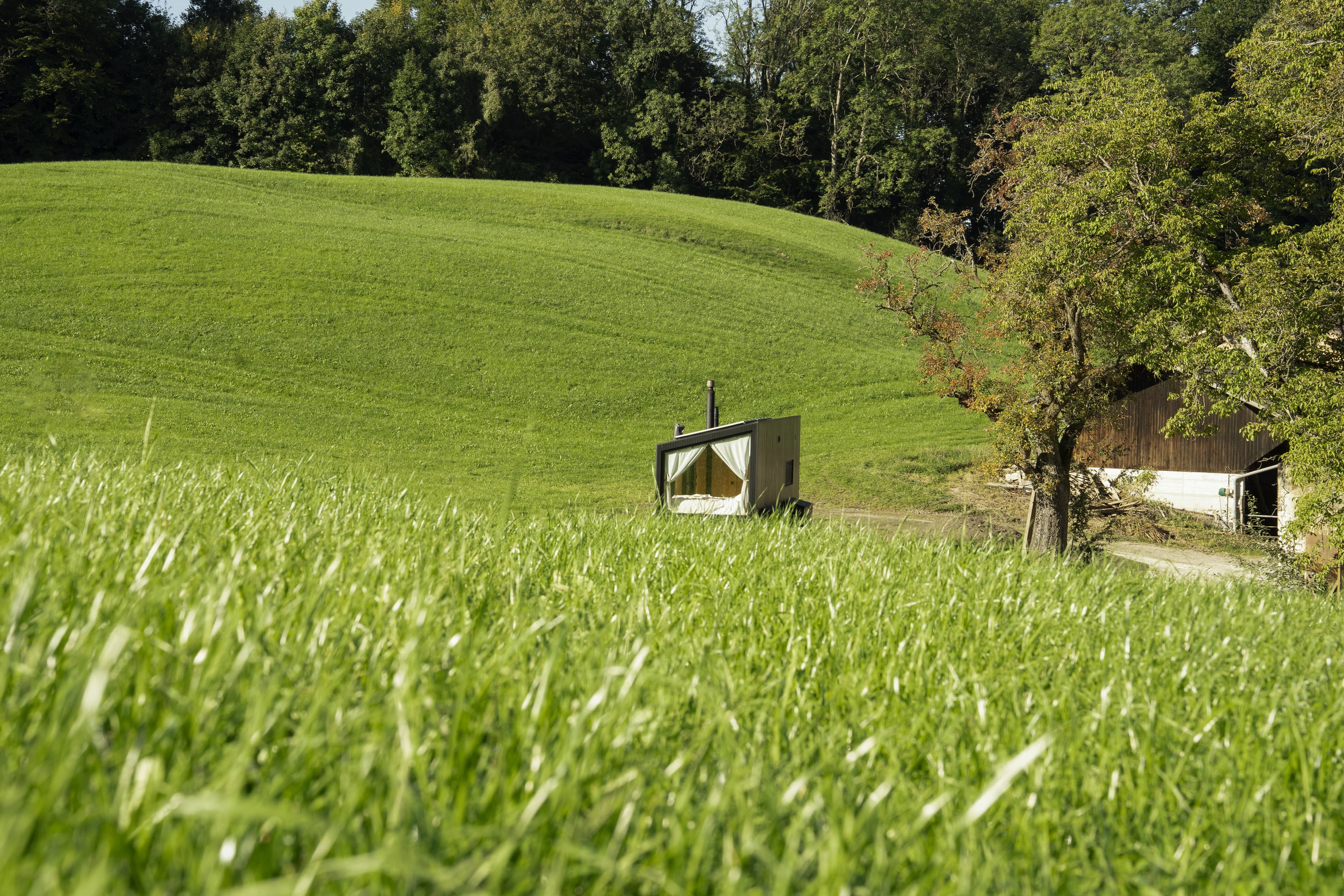 Wiesenquelle