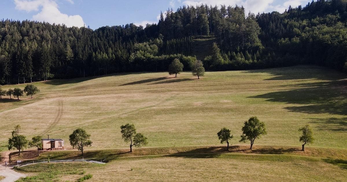 Zwetschgenhöhe